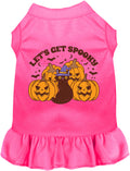 Get Spooky Halloween Pet Dress