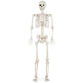 5.4 FT Halloween Skeleton Decoration Life Size Large Skeleton