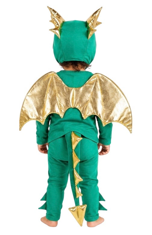 Baby Green Dragon Halloween Costume