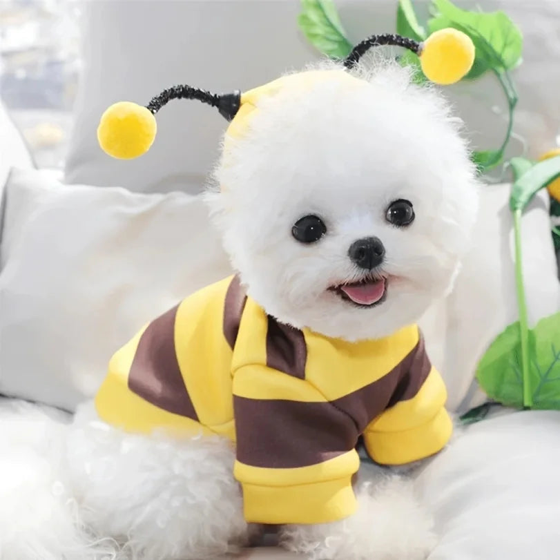 Bee Pet Halloween Hoodie Costume for Dogs & Cats