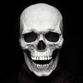 Full Head Skull Mask